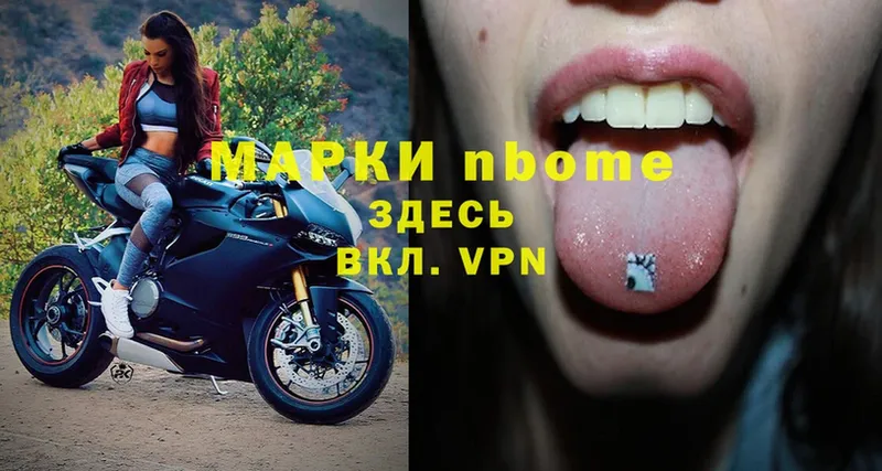 Марки N-bome 1,8мг  ссылка на мегу онион  Камышлов 